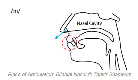The Nasal Consonants - Tanvir's Blog