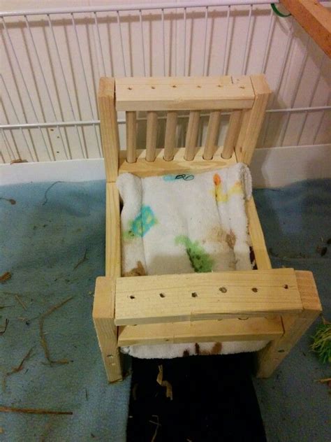 DIY wooden Guinea Pig bed | All things Guinea pig | Pinterest | Guinea pigs, Pigs and Beds