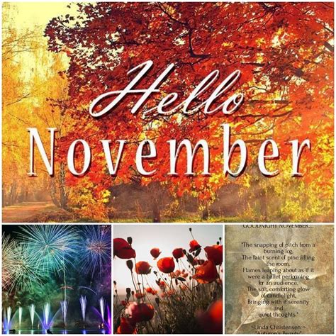 Hello November - Rathside Care Home