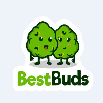 Best Buds Dispensary - Hye Globe Blog Article By