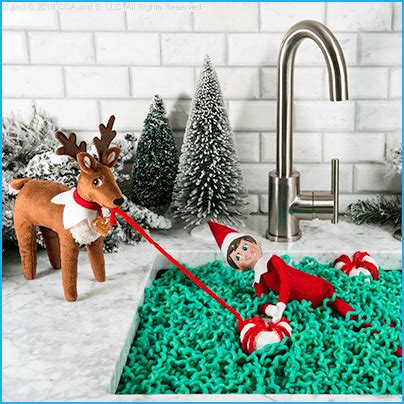 Cute Ideas for Scout Elves and Elf Pets® Reindeer | The Elf on the Shelf