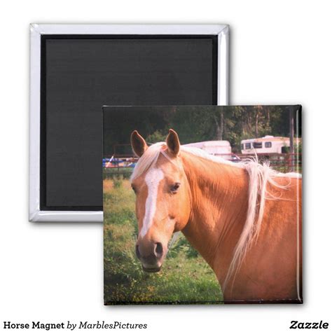 Horse Magnet | Zazzle.com | Horse magnets, Horses, Square magnets