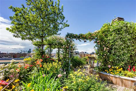 Rooftop gardens can lower city heat - Earth.com