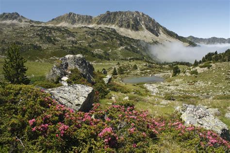 Adventure of the Week: Walking in the Pyrenees National Park | National ...