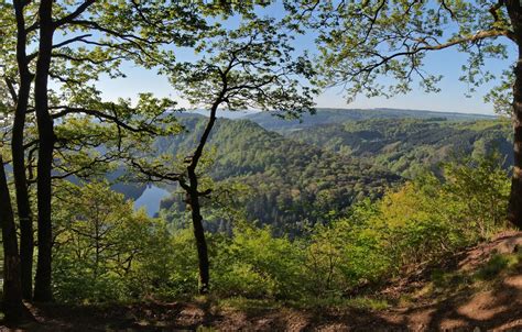 Wallpaper forest, trees, mountains, Germany, panorama, Germany, Saar, Saarschleife, Loop Of The ...