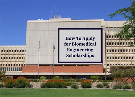 Biomedical Engineering Scholarships 2024-2025 Form