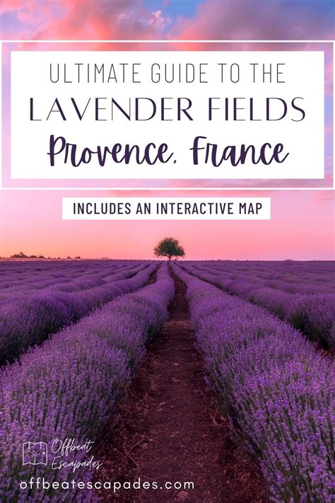 Best Places to See Lavender Fields in France with Free Map (2023 ...