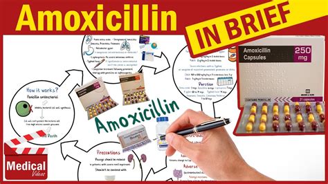 Amoxicillin 500mg Capsule: What is Amoxicillin Used For, Dosage, Contraindications & Precautions ...