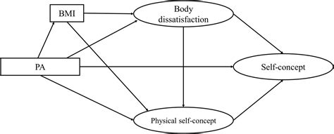 Frontiers | Effect of Physical Activity on Self-Concept: Theoretical ...