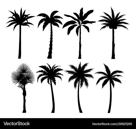 Palm trees silhouettes set Royalty Free Vector Image