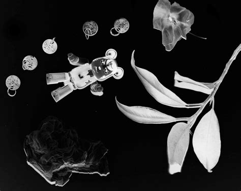 Here's Hoping It's Useful!: How To Make a Digital Photogram