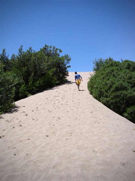 Climbing on the sand Free Photo Download | FreeImages