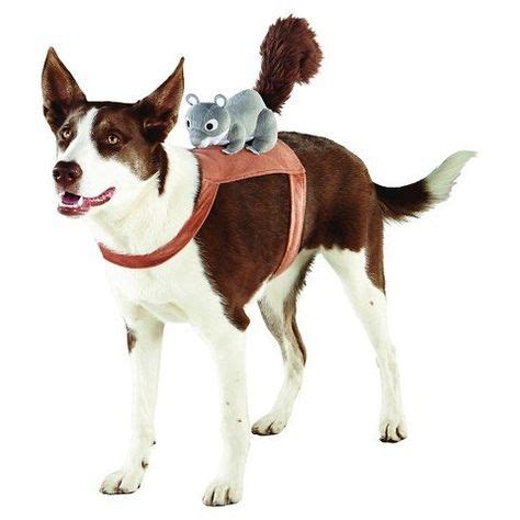 Squirrel Rider Pet Costume S/M Target https://www.amazon.com/dp ...