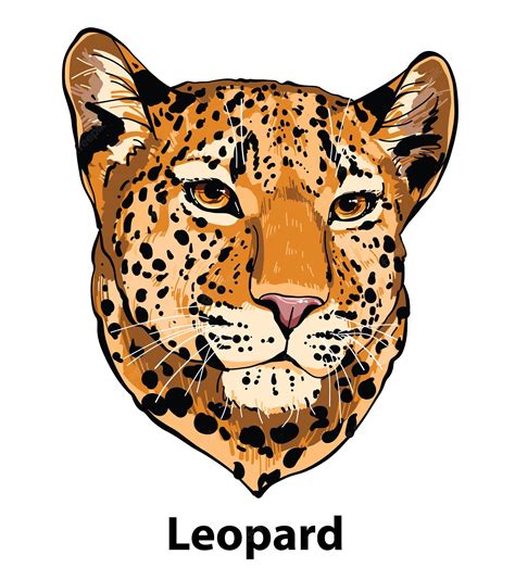 leopard faces - Clip Art Library