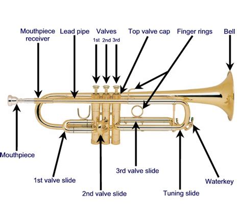 A Short Overview of All the Trumpet Parts for the Beginner Player