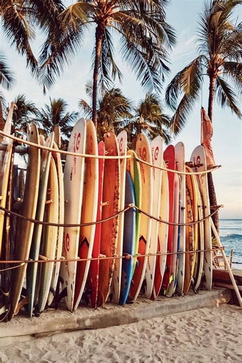 ENJOY THE PALM LIFE - USAPALM.COM | Hawaii aesthetic, Beach aesthetic, Surf aesthetic