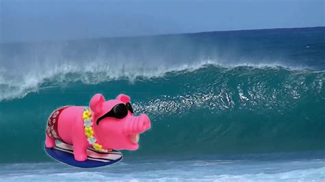 Surfing Pig - YouTube