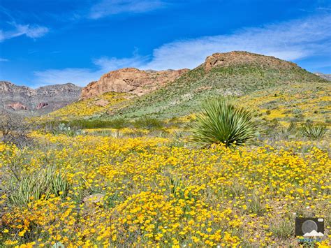 El Paso Photos | Franklin Mountains State Park