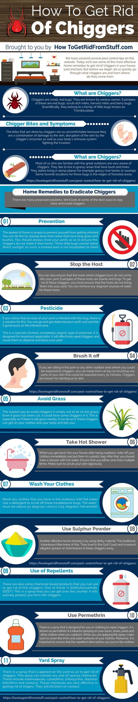 Get Rid Of Chiggers In Home And Lawn: Prevention And Bite Treatment