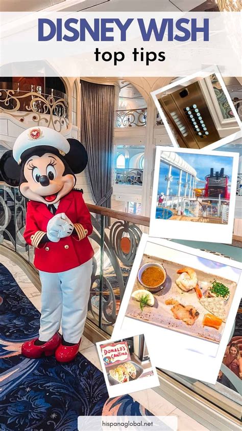 Disney wish cruise – Artofit