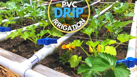 Drip Irrigation System Home Garden at Curtis Ferguson blog