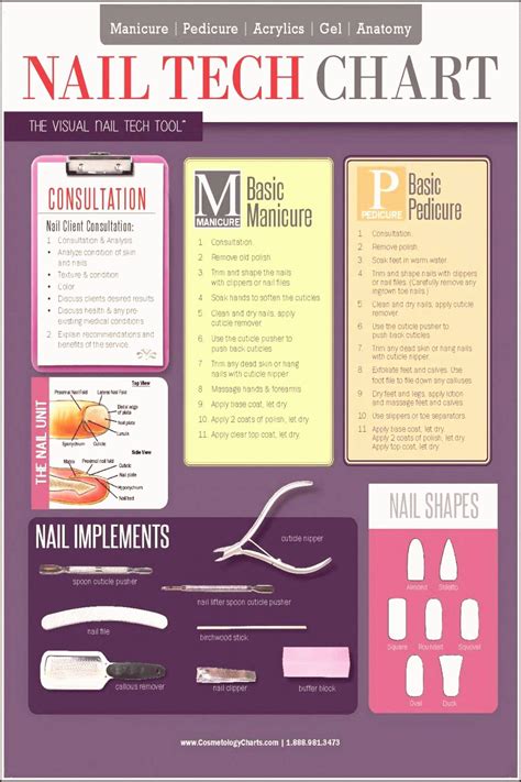 Nail Tech Chart 2 Sided Laminated Quick Reference Guide Cosmetology ...