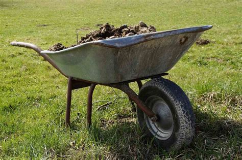 Farmyard Manure Preparation Methods, Advantages | Agri Farming