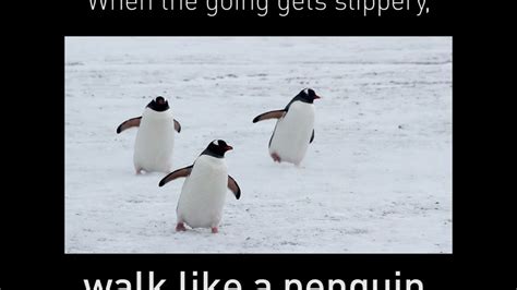 Walk like a penguin - YouTube