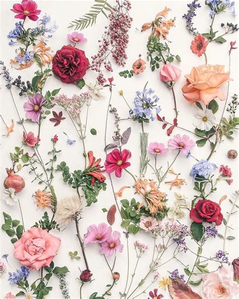 fleur aesthetic | Floral wallpaper phone, Pretty flowers background ...