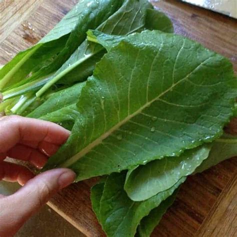 harvesting mustard greens