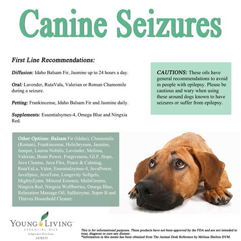 canine seizure treatment,www.npssonipat.com