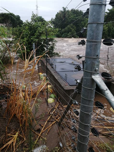 IN PHOTOS: Eloise uproots trees, floods streets in Mpumalanga | Lowvelder