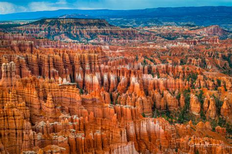 Hoodoo Harmony | Bryce Canyon National Park, Utah | Chris Marler Photography