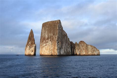 Galapagos Birding Tours - Wildlife - Birdwatching Tours - Birdquest