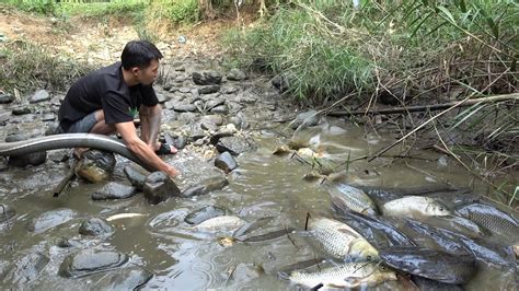 Top video fishing: fishing techniques - catching a lot of fish ...