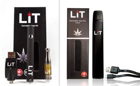 Refillable vs Disposable Vape Pens: What’s the Difference and Which Is Better for Who? | LiT ...