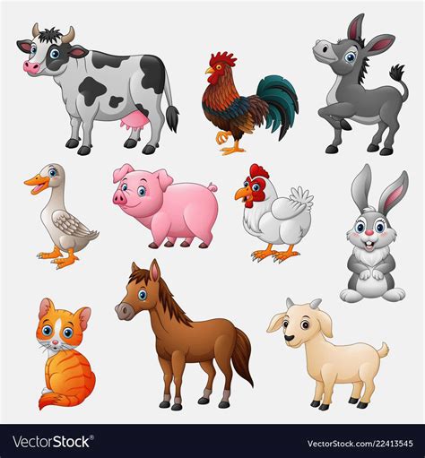 Farm animal collection set on white background Vector Image | Farm animals preschool, Cartoon ...