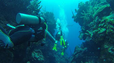 Belize Barrier Reef Diving Site Descriptions - Our Belize Vacation