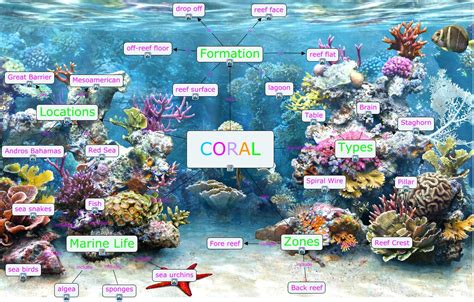 Coral cmap