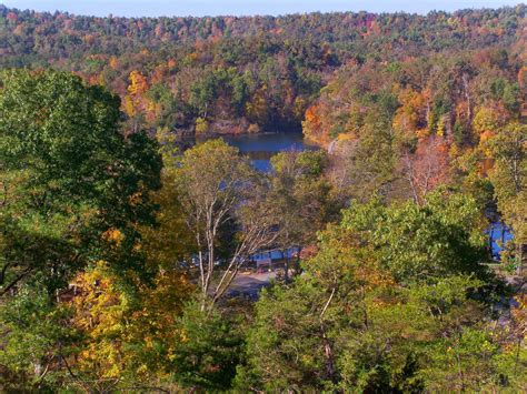 Pennyrile Forest State Resort Park's Naturalist & Recreation Blog