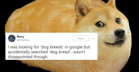 Doge Bread : r/aww