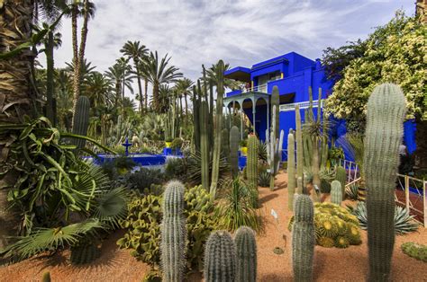 Jardin Majorelle | Marrakesh, Morocco Attractions - Lonely Planet