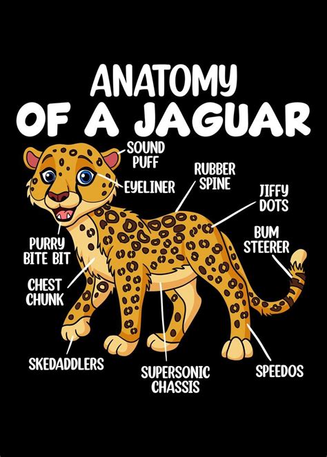 'Anatomy Of A Jaguar' Poster, picture, metal print, paint by Hexor ...