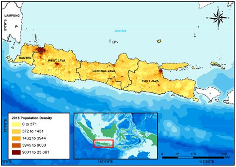 Java island - dockluli