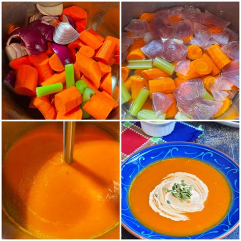 Instant Pot Carrot Soup - Culinary Shades