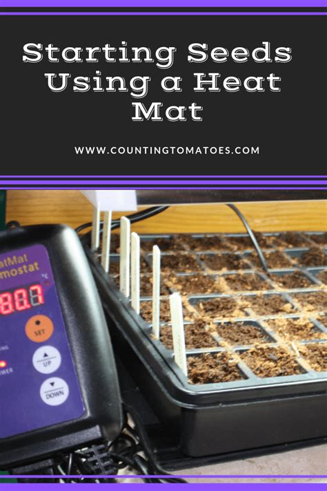 Starting Seeds Using a Heat Mat | Counting Tomatoes