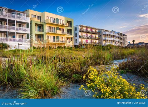 Flowers and Beachfront Buildings in Folly Beach, South Carolina. Stock Photo - Image of outdoors ...