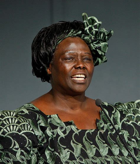 Wangari Maathai | Biography, Nobel Peace Prize, & Facts | Britannica