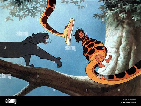 BAGHEERA KAA & MOWGLI THE JUNGLE BOOK (1967 Stock Photo: 30917348 - Alamy