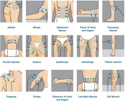 30 best TENS Machines & Electrode Placement images on Pinterest | Pain relief, Chronic pain and ...